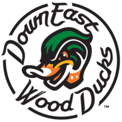 Down East Wood Ducks 2017-Pres Primary Logo iron on transfers for clothing
